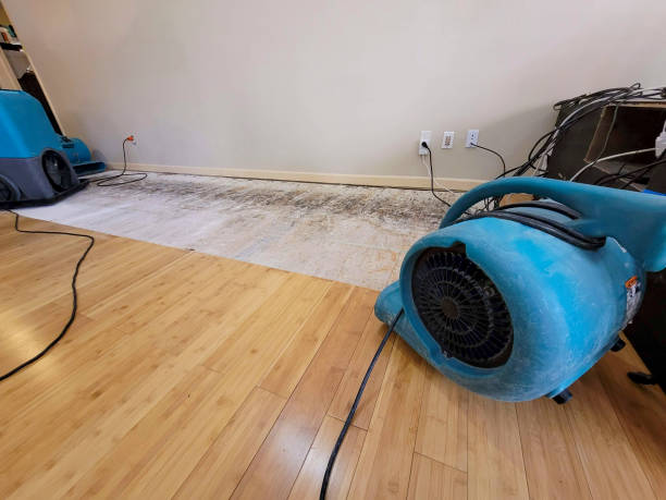 Professional Water Extraction technician working in Winnetka, CA